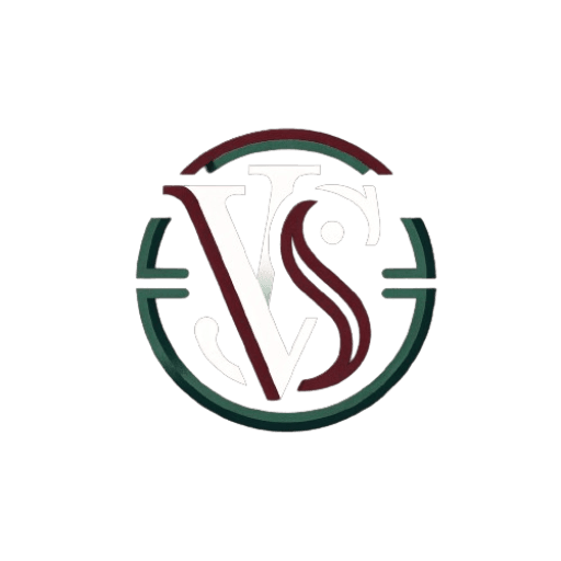 Logo VSI Web Solutions "Logo de VSI Web Solutions, expertos en diseño web personalizado, programación avanzada y optimización SEO"